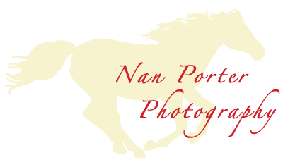 Nan Porter Photography